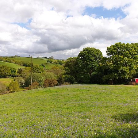 The Megabus Near Tavistock And Dartmoor. Hotel Lamerton Ngoại thất bức ảnh
